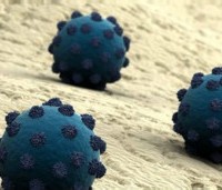 Вирус гепатита C: откуда он взялся?